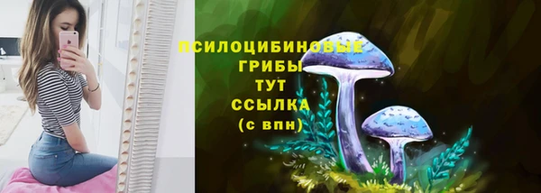 молекула духа Мурманск