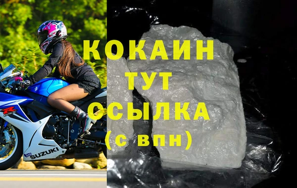 2c-b Новозыбков