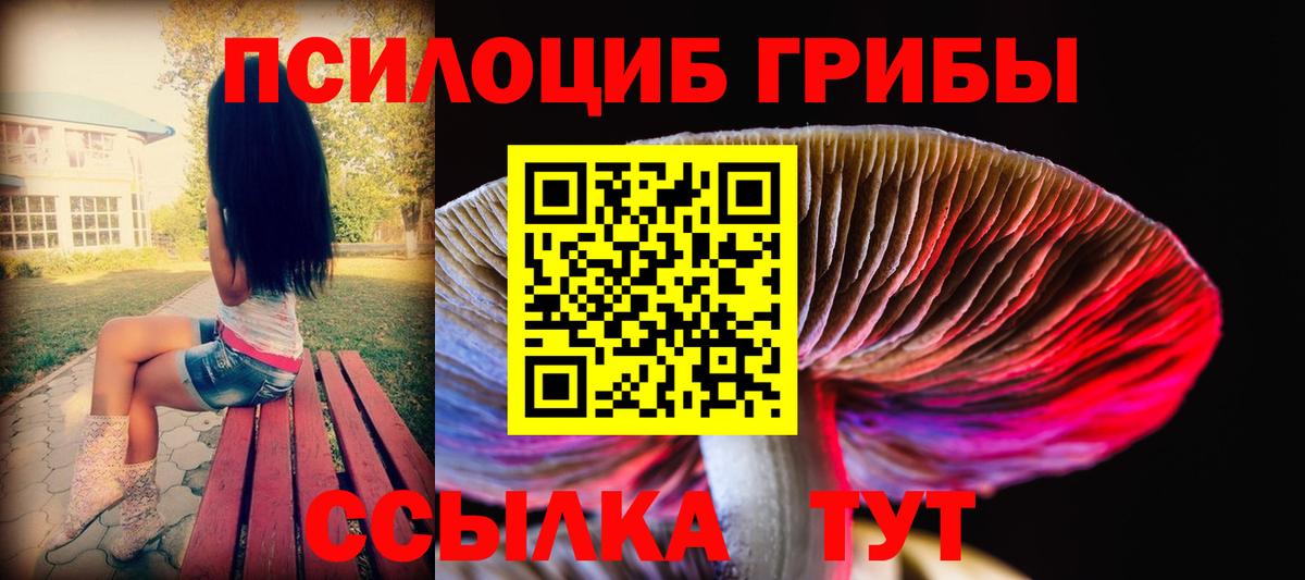 Галлюциногенные грибы Psilocybine cubensis Корсаков