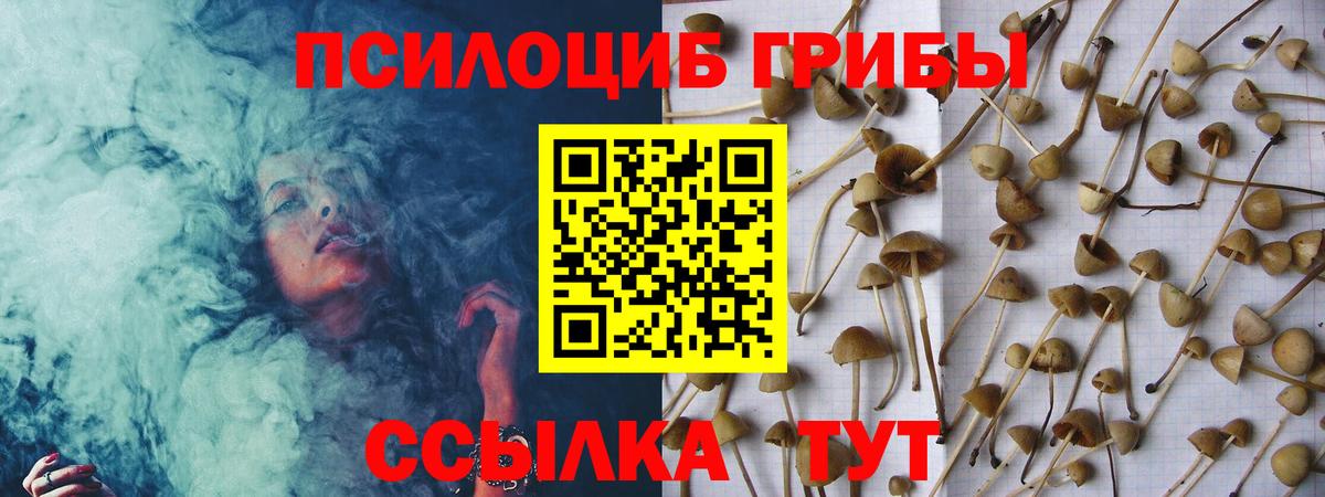 Галлюциногенные грибы мухоморы  Корсаков  Псилоцибиновые грибы мицелий 