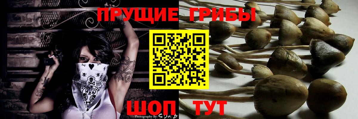 Корсаков  Псилоцибиновые грибы GOLDEN TEACHER  Вход с VPN 