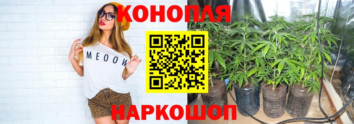 Шишки марихуана гибрид  Корсаков  Канабис Ganja  Канабис Bruce Banner 